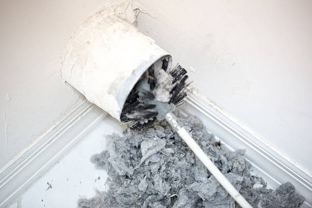Best Emergency Air Duct Cleaning  in Caro, MI